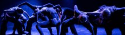 taller seleccion aula formacion danza 25 26